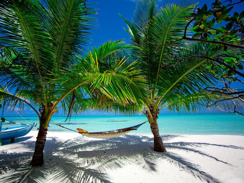 Tropical Spa Escape to the sun and indulge in tropical wellness