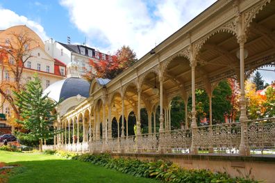 Thermal Hotels Karlovy Vary with special diet programmes