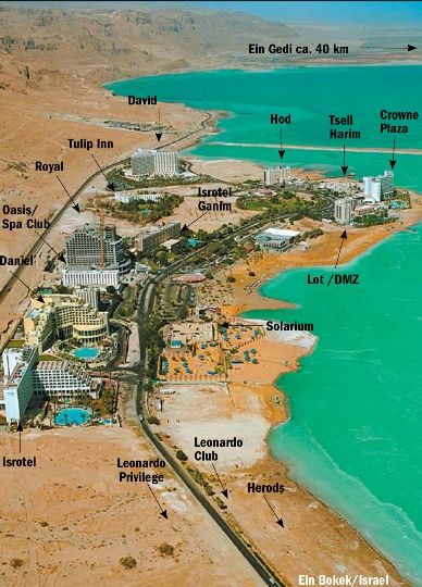 Dead Sea Hotels - Ein Bokek, hotels Israel, SpaDreams, wellness travel, cure for scalp psoriasis