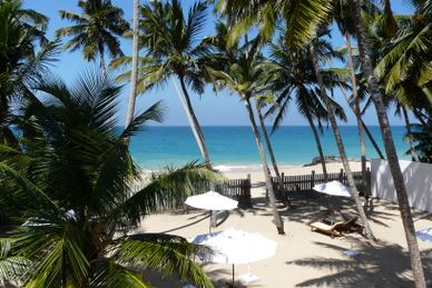 Ayurveda Intensive Cure