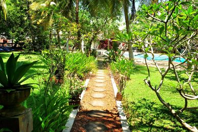 Classic Ayurveda: Anti-Stress